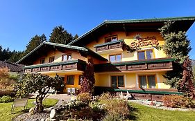 Pension Edelweiß Mitterberg